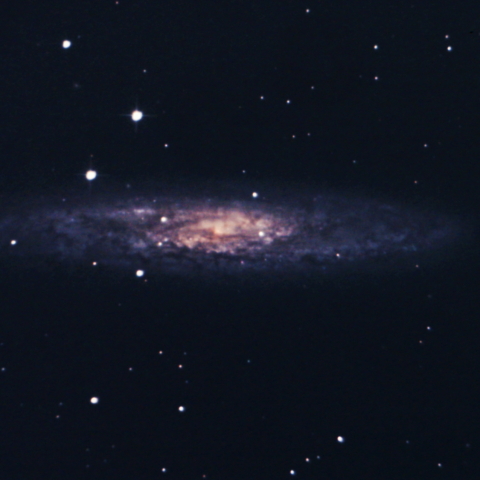 NGC253