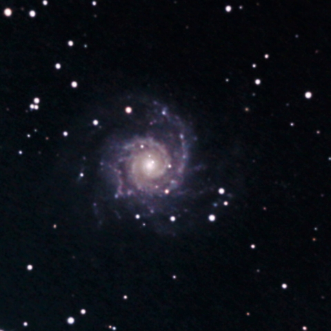 M74