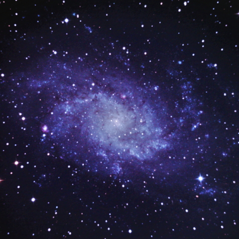 M33