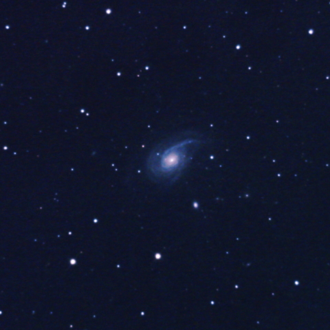 ARP78