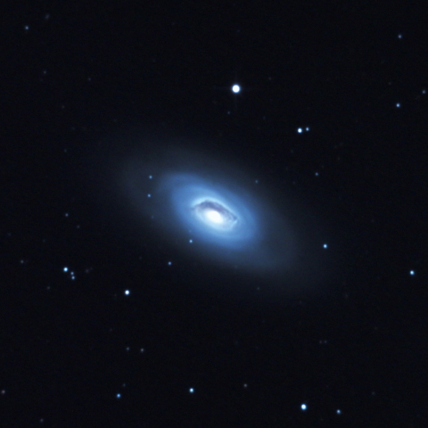 M64