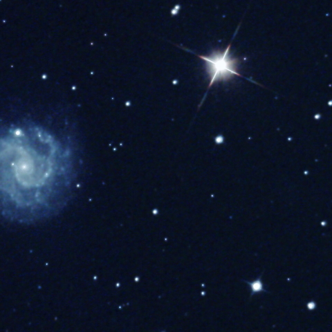 NGC3184