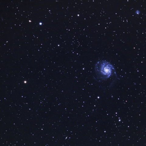 M101