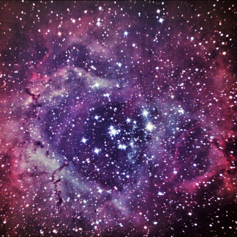 薔薇星雲 Ngc2237 By 川越の星 天体写真ギャラリー 薔薇星雲 Ngc2237 By 川越の星 天体写真ギャラリー