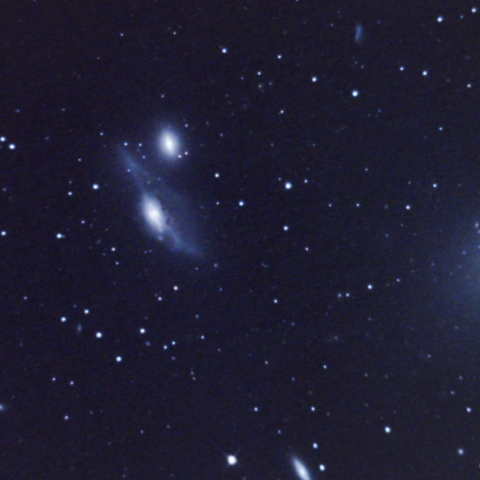 マルカリアンチェーン