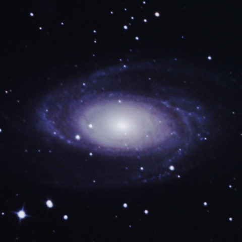 M81