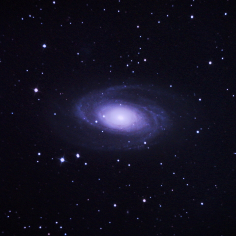 M81