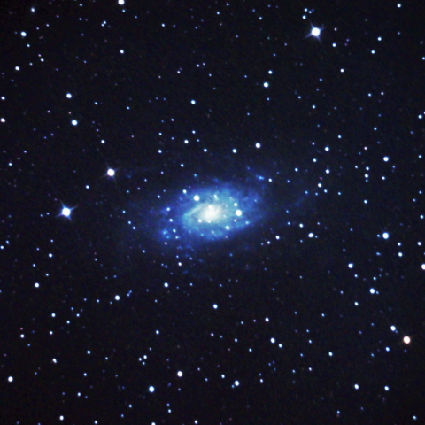 NGC2403