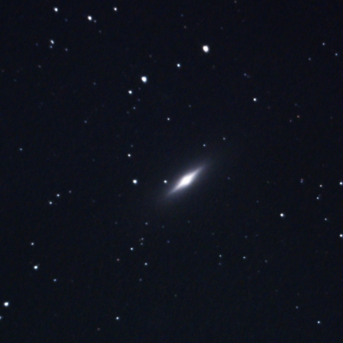 NGC3115