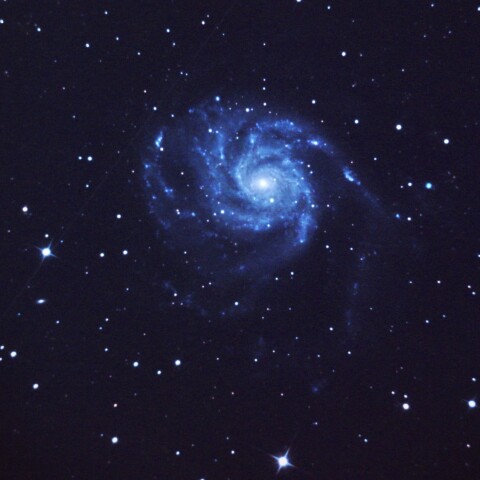 M101