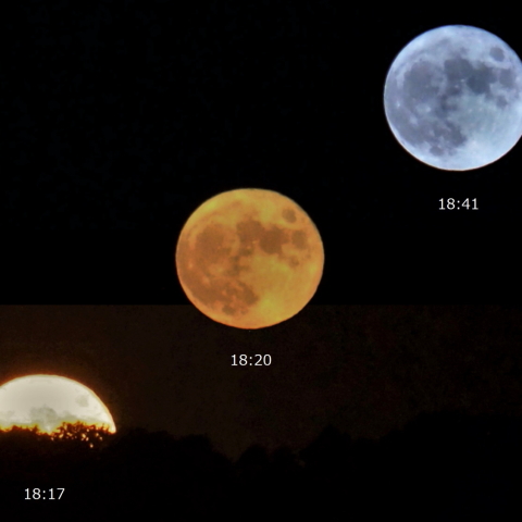 昇る中秋の名月