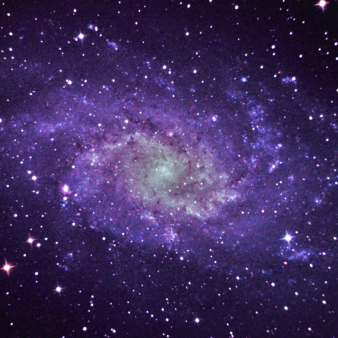 M33