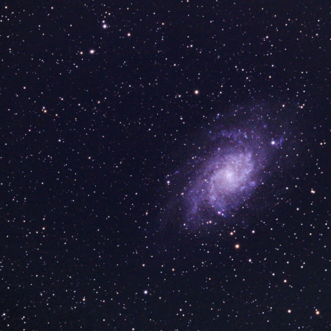 M33