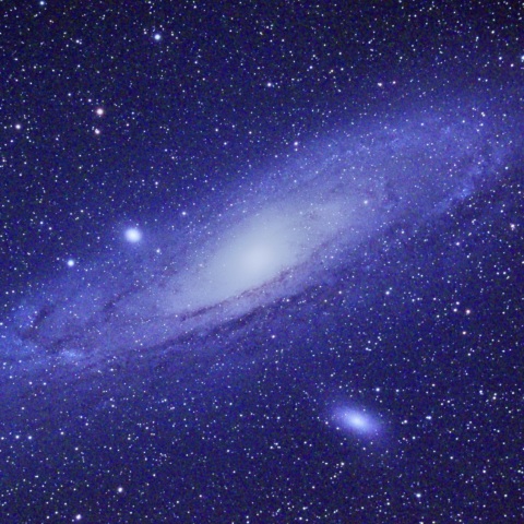 M31