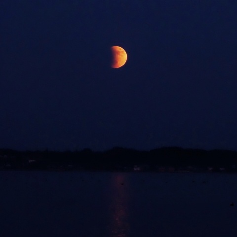 月出帯食の出 Ⅰ