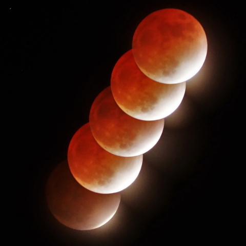 部分月食最大後の変化