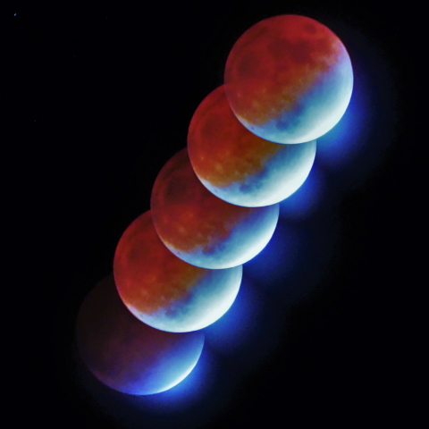 食最大ターコイズフリンジ