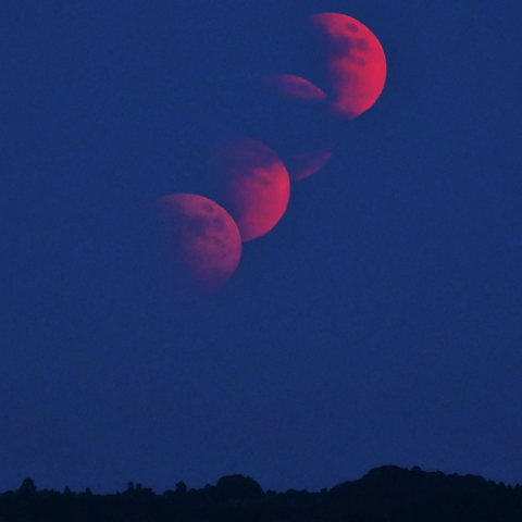 月出帯食の出 Ⅱ