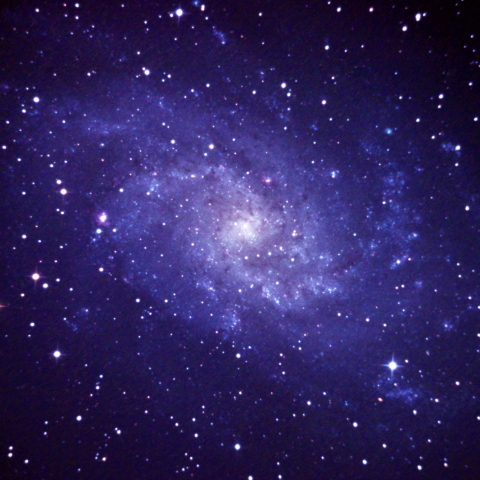 M33