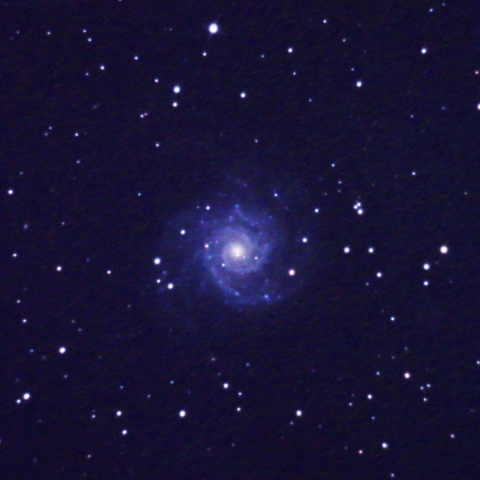 M74
