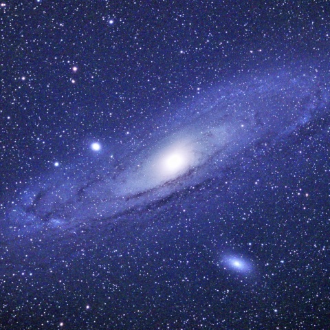 M31