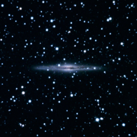 NGC891