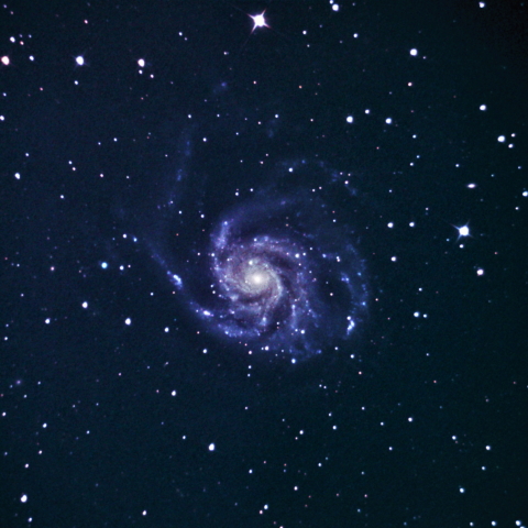 M101