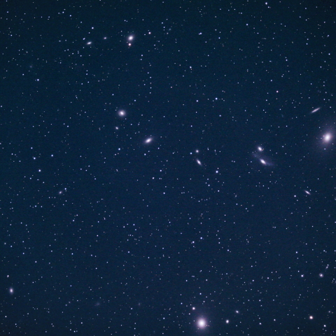 マルカリアンチェーン