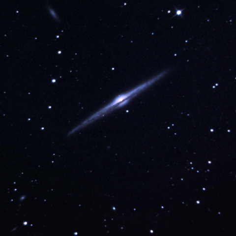 NGC4565