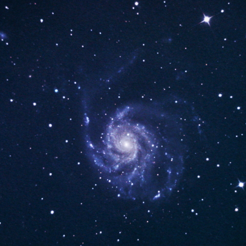 M101