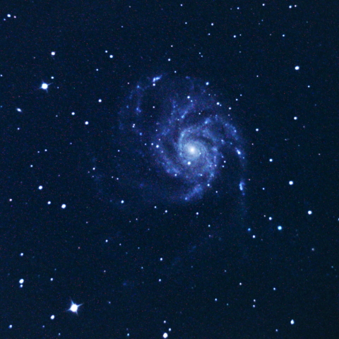 M101