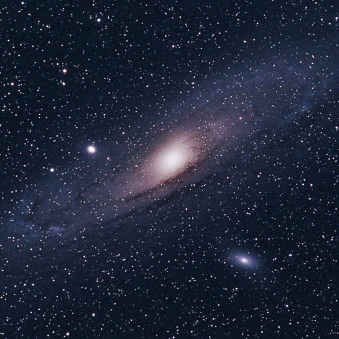 M31