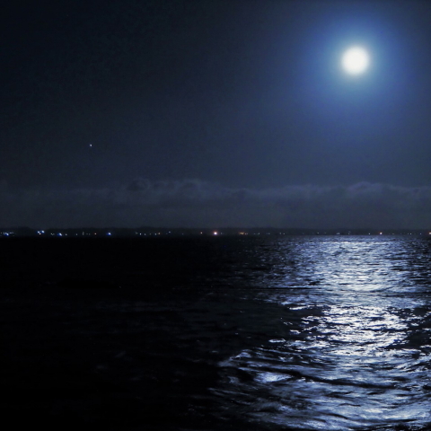 中秋の名月 & 木星