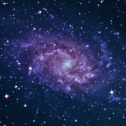 M33