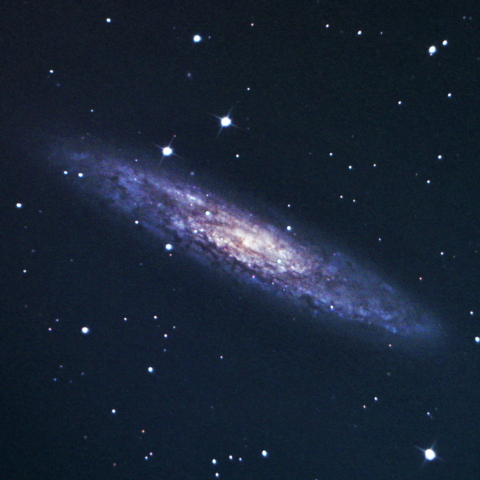 NGC253