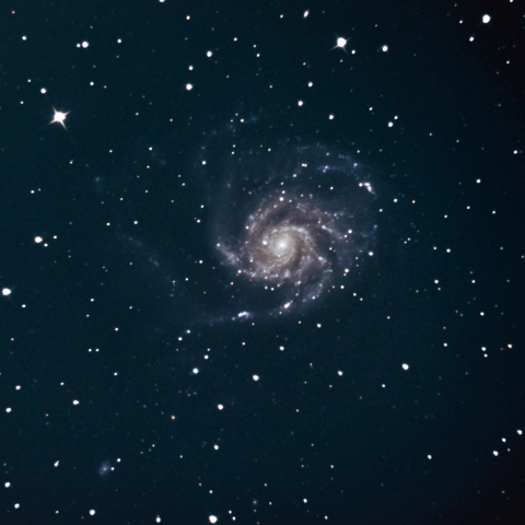 M101