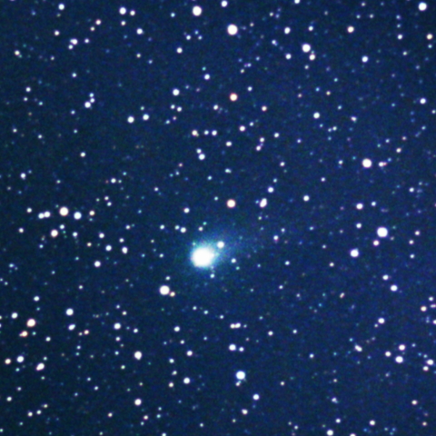 ZTF彗星 C/2020V2 2023.02.09