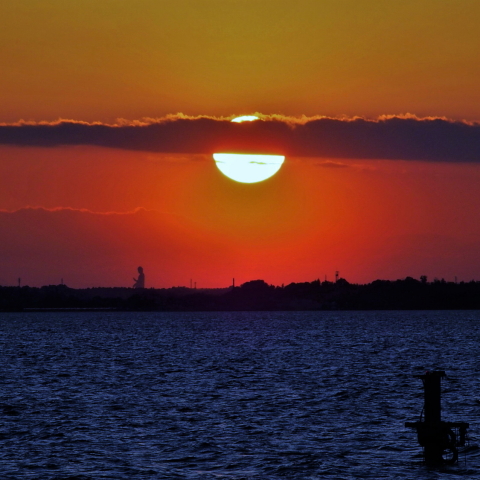 牛久大仏の背に没む夕日