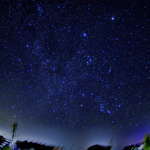 昇るオリオンと流星