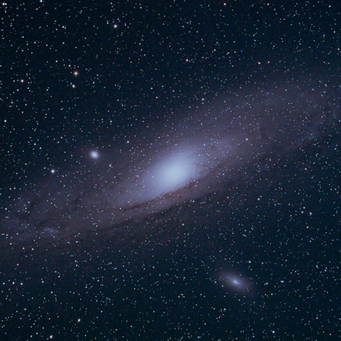 M31