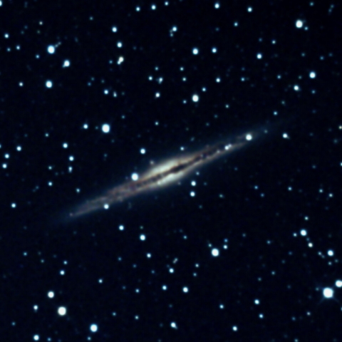 NGC891