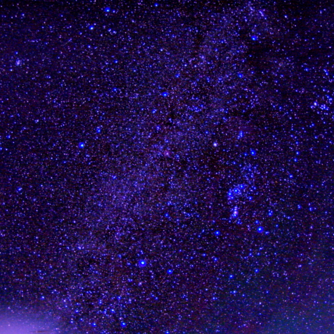 南中するオリオン座