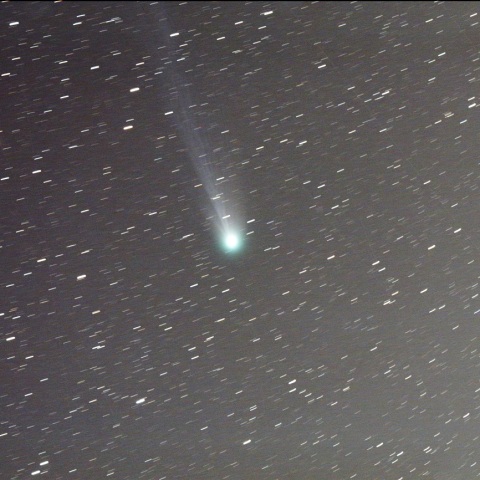 3月10日のポンス・ブルックス彗星(12P)