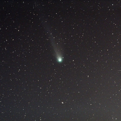 3月14日のポンス・ブルックス彗星(12P)