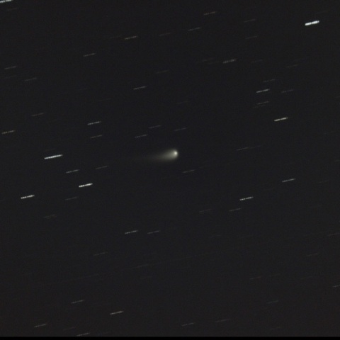 5月3日の紫金山・アトラス彗星(2023 A3)