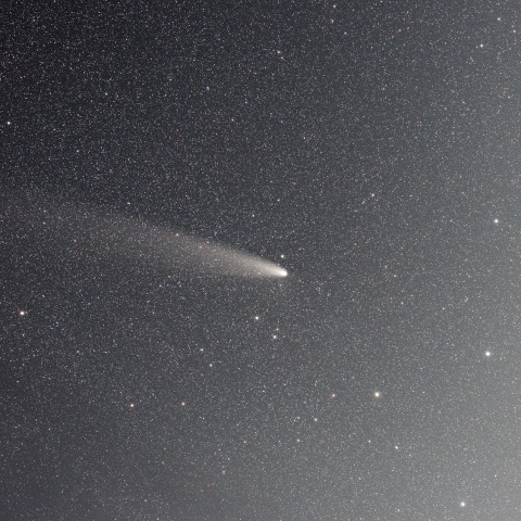 11月3日の紫金山・アトラス彗星 (C/2023 A3)