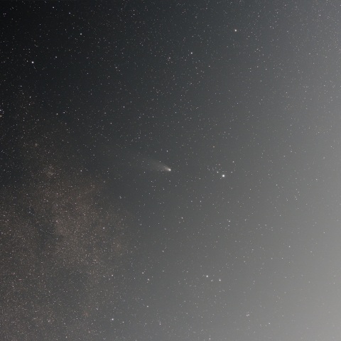 11月25日の紫金山・アトラス彗星 (C/2023 A3)