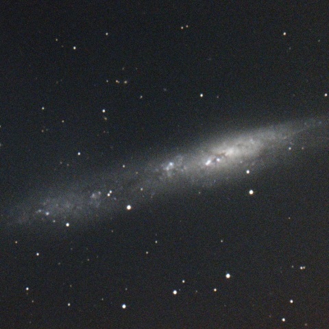 不規則銀河　NGC55