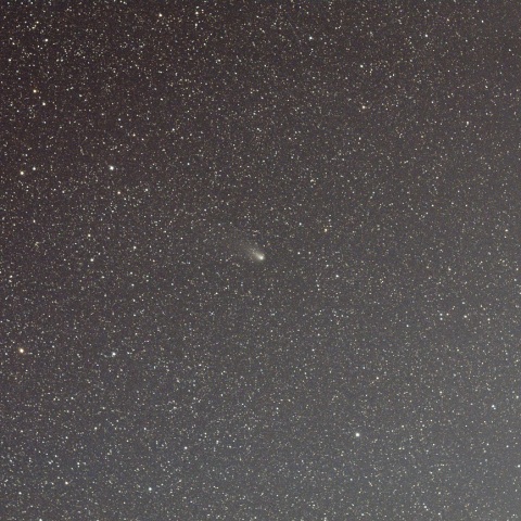 12月19日の紫金山・アトラス彗星 (C/2023 A3)