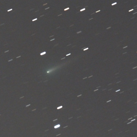 彗星らしくなったアイソン (C/2012 S1) 